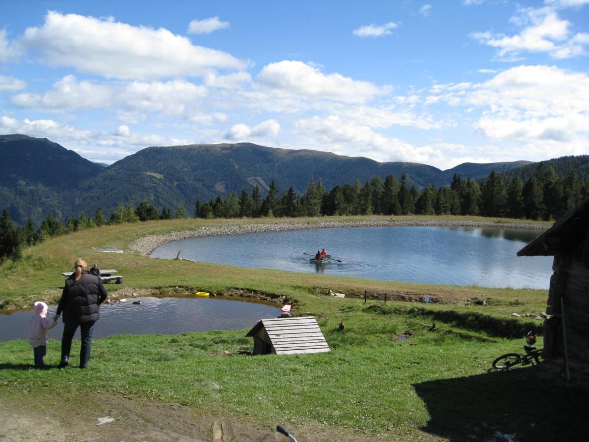 Alpenferienhaus Sophia Sankt Lorenzen ob Murau Exteriér fotografie
